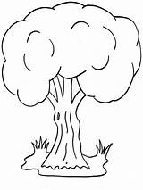 Deciduous Trees Coloring Pages sketch template
