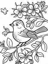 Simple Coloring Pages Printable And Free sketch template