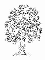 Tree Coloring Pages For Adults sketch template