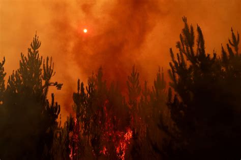 At least 23 dead as dozens of wildfires torch forests in Chile | Reuters