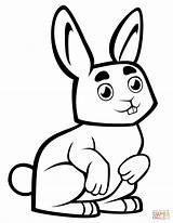 Cute Baby Rabbit coloring Page  Free Printable Coloring Pages sketch template