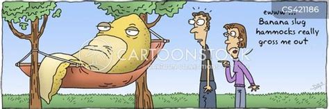 Banana Hammock Cartoons and Comics - funny pictures from CartoonStock