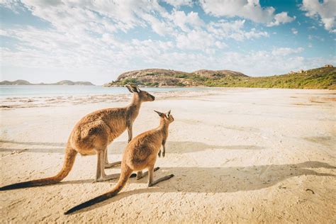 The 9 Best National Parks in Western Australia