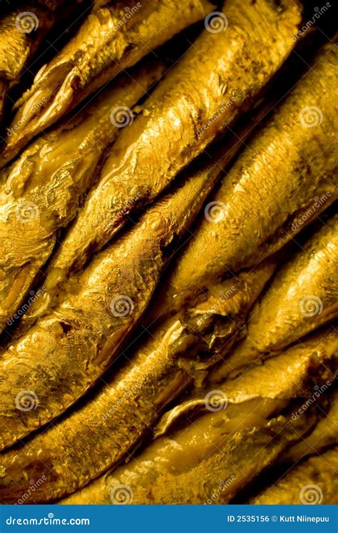 Sardines in oil stock photo. Image of piled, fish, seafood - 2535156