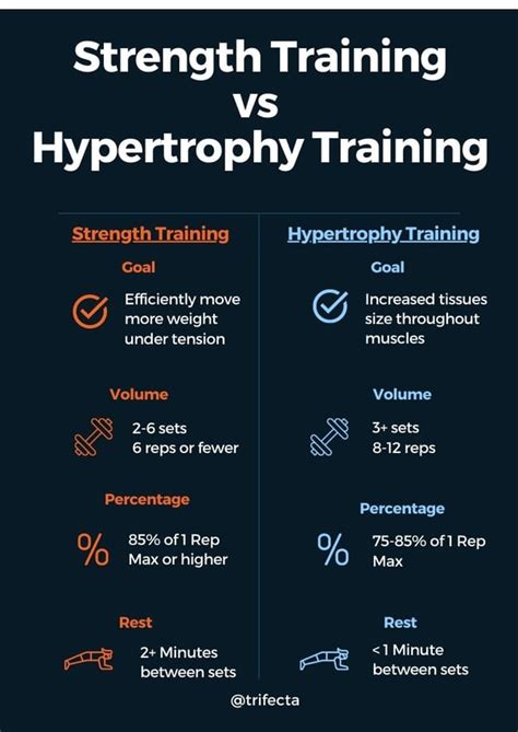 Strength And Hypertrophy Workout Plan | EOUA Blog