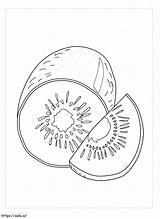 Stunning Kiwi Coloring Page sketch template
