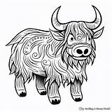 Yak Coloring Pages  Free & Printable sketch template
