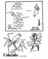 USA Printables State Outline Shape And Demographic Map  Of sketch template