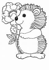 20 Best Hedgehog Coloring Pages For Kids  Updated 2018 sketch template