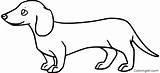 Dachshund Coloring Pages 39 Free Printables  ColoringAll sketch template