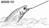 Trout Fishing Coloring Pages sketch template