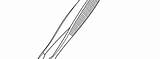 Tweezers Colouring Pages Sketch Coloring Page sketch template