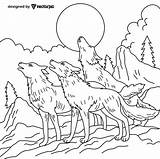 wolf Howling Animal Coloring Pages For Kids & Adults Design Free Vector  sketch template
