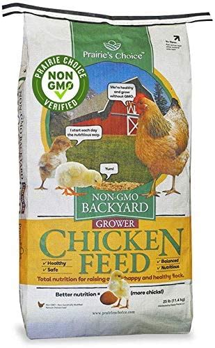 7 Best Chicken Feed for Laying Hens (Natural, Organic, and Non-GMO)