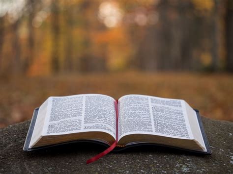 Open Bible Wallpapers - Top Free Open Bible Backgrounds - WallpaperAccess