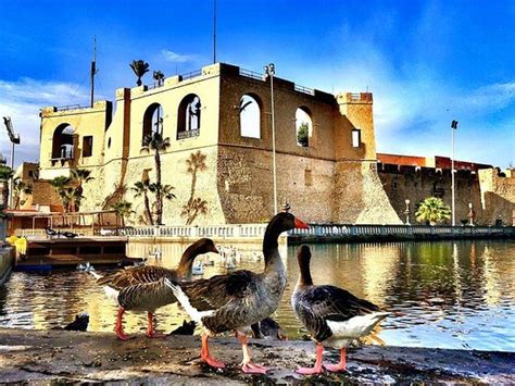 THE 15 BEST Things to Do in Tripoli - UPDATED 2020 - Must See ...