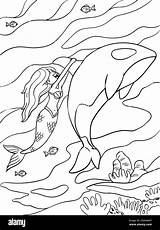 Mermaid And Dolphin Coloring Page For Kids Stock Vector Image & Art  Alamy sketch template