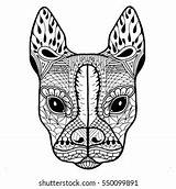 Boston Terrier French Bulldog Doodle Coloring Stock Vector Royalty  sketch template