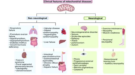 Schematic presentation of clinical features of mitochondrial diseases.... | Download Scientific ...