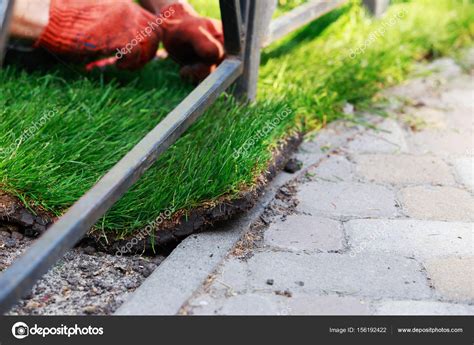 Green lawn grass in rolls — Stock Photo © DevidDO #156192422