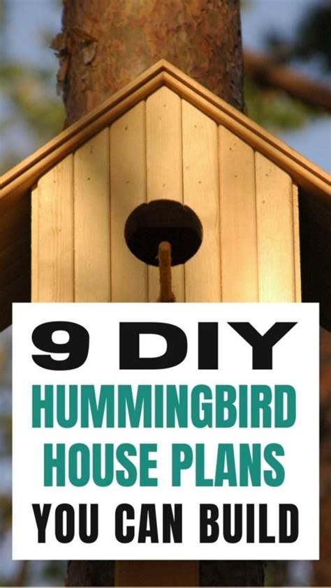 9 DIY Hummingbird House Plans You Can Build