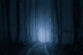 Painting of Ghost Walking in Forest | Free Halloween Image by picjumbo