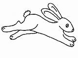 Hopping Bunny Outline Coloring Pages  Kids Play Color coloring sketch template