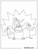 Free PENGUINS Coloring Pages For Download Printable PDF  VerbNow sketch template