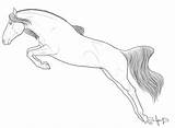 Printable Horse Jumping Coloring Pages With Show Hors  Vrogueco sketch template