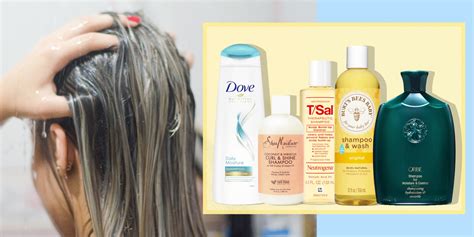 Top 150+ best shampoo for dry hair latest - POPPY