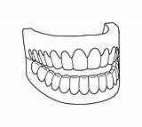 Vampire Teeth Coloring Pages At GetColoringscom  Free Printable sketch template