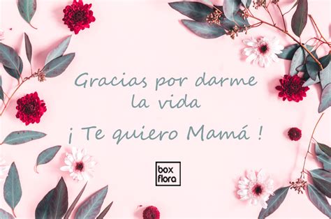 Cita Poner Gemidos frases bonitas para las madres en su dia Sociedad conductor diamante