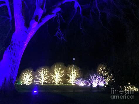 Longwood Gardens, Christmas Lights Photograph by Elaine Sapp - Fine Art America