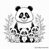 Panda Coloring Pages For Adults  Free & Printable sketch template