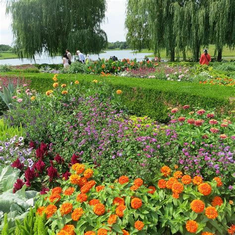 Chicago Botanic Garden Events Calendar - Harri Pepita