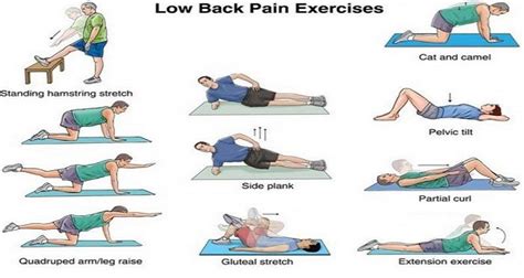 Some Best Exercises For Relieving your Low Back Pain