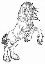 Patterned Clydesdale  Horse coloring Books Pages sketch template