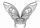 59 Ausmalbilder Schmetterling Und Raupe Kostenloser  Rahayuekk sketch template