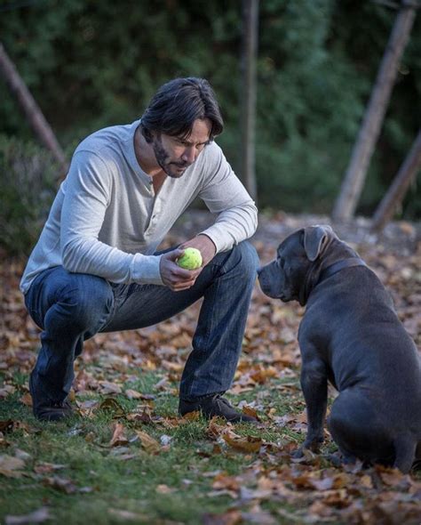 Johɴ Wick – Keanu Reeves: A Passionate Animal Lovҽr – Movies News