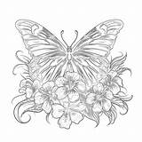 Unleash Your Creativity With Adult Coloring Pages Of Butterflies sketch template