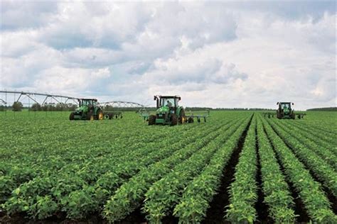 Priority to reform China agriculture | Shanghai Daily