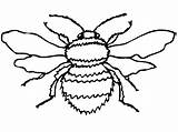 Bumble Bee Coloring Pages For Kids  Home sketch template