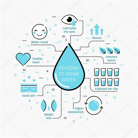 Benefits of Drinking Water. — Stock Vector © VectorStory #105511344