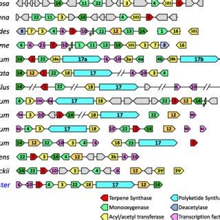 Classification and chemical structure of some representative ...