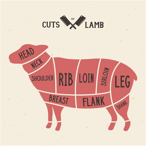 Lamb Cuts - What You Need To Know - The Reluctant Gourmet