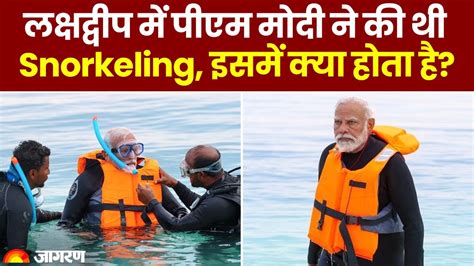 India Maldives Conflict: PM Modi Did Snorkeling In Lakshadweep, A Complete Guide, Prices, Scuba ...