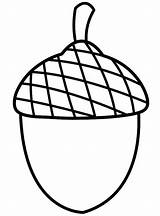 Acorn Coloring Pages  Best For Kids sketch template