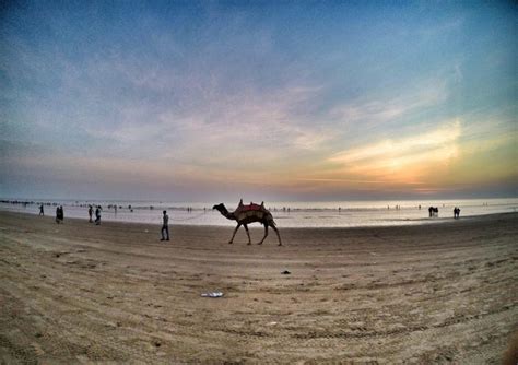 The magic of Mandvi beach ~ The Land of Wanderlust