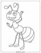 100  Ant coloring pages Free PDF To Print Woo Coloring sketch template