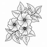 Beautiful Flower Coloring Pages  Infoupdateorg sketch template